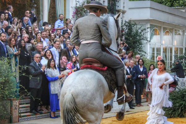 Andalusian horse rider and flamenco dancer for events Andalusian horse rider and flamenco dancer for events