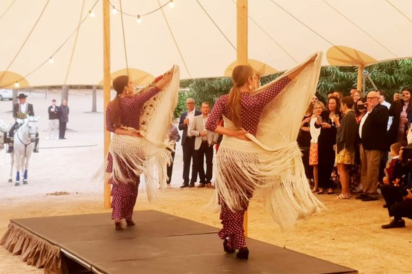 Una-boda-en-España-puede-ser-la-más-original-con-un-espectáculo-de-flamenco-ecuestre Nuestras bailaoras y artistas flamencos transforman las bodas de España en experiencias únicas e inolvidables.