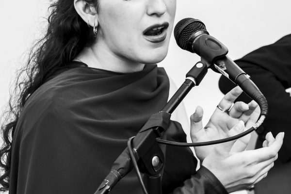 Flamenco_W_003